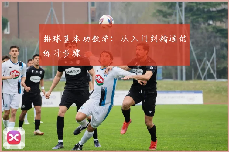 排球基本功教学:从入门到精通的练习步骤